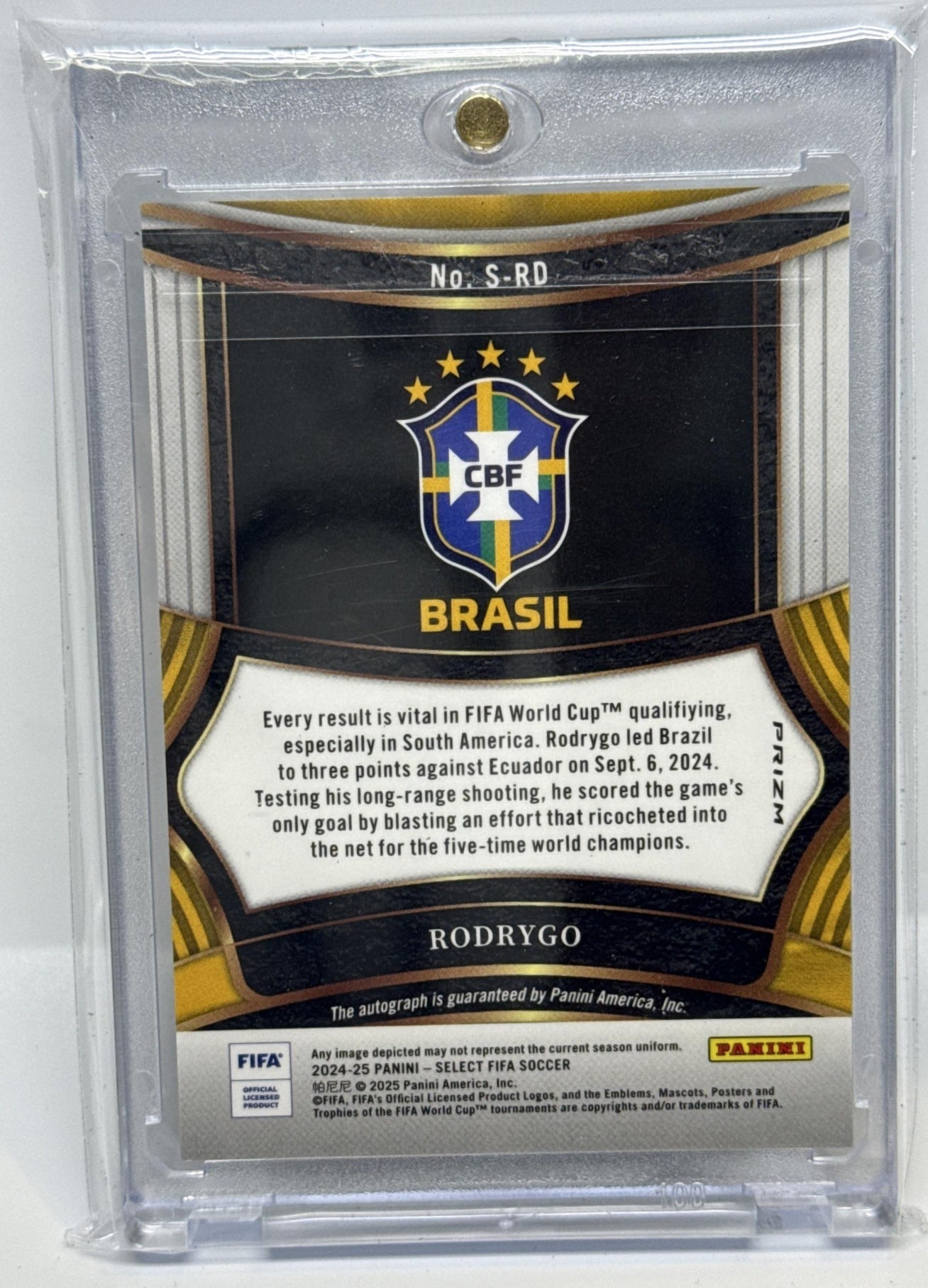 Rodrygo Panini Select FIFA 2024-25 Signatures Blue Pulsar Auto Brazil