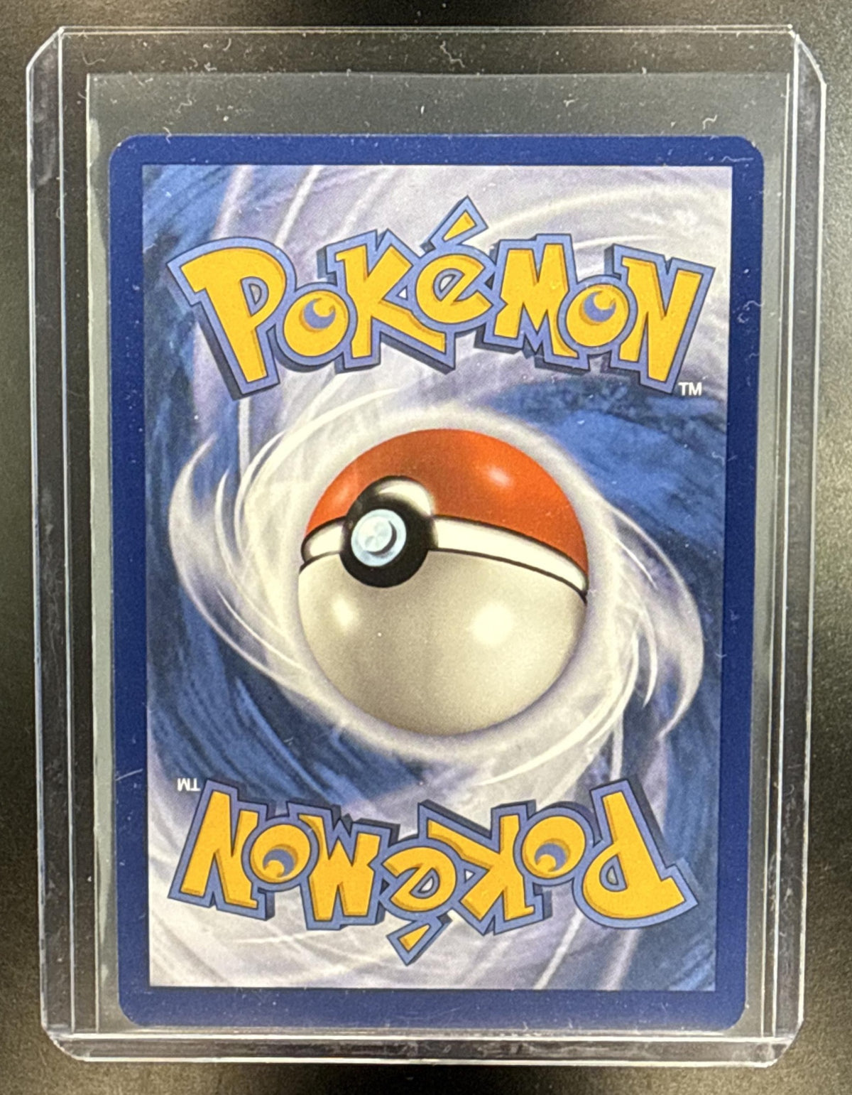 Squirtle Pokemon Stellar Crown 2024 Illustration Rare
