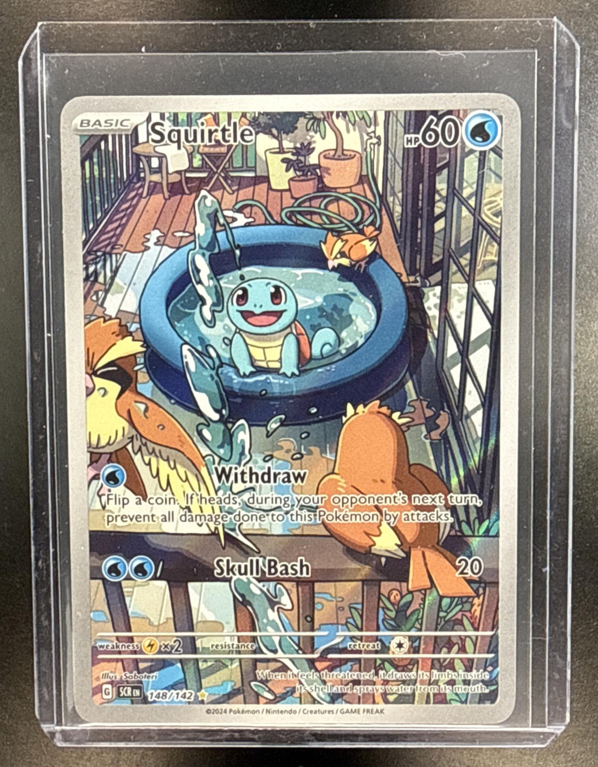Squirtle Pokemon Stellar Crown 2024 Illustration Rare