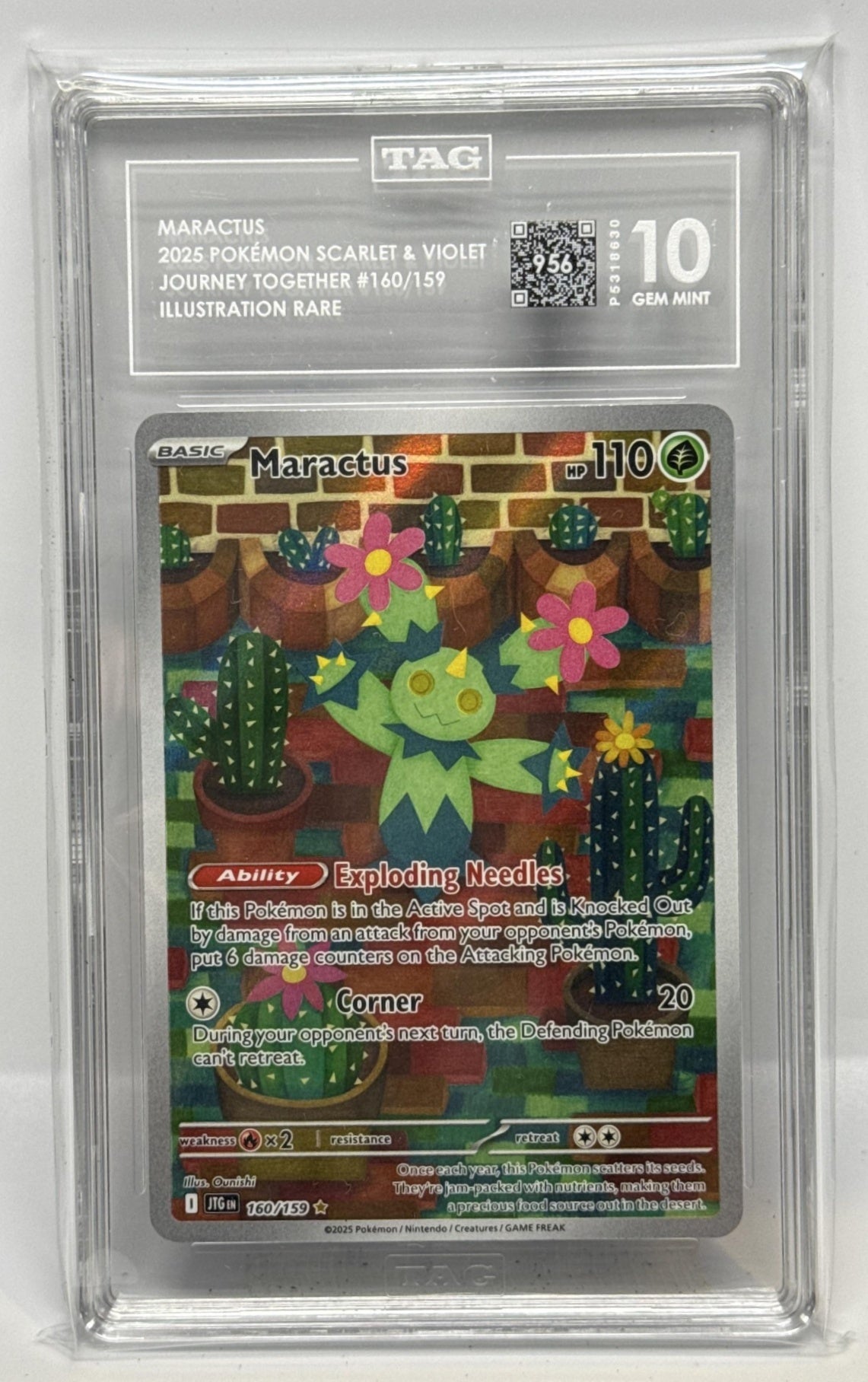 Maractus Pokemon Journey Together 2025 TAG 10